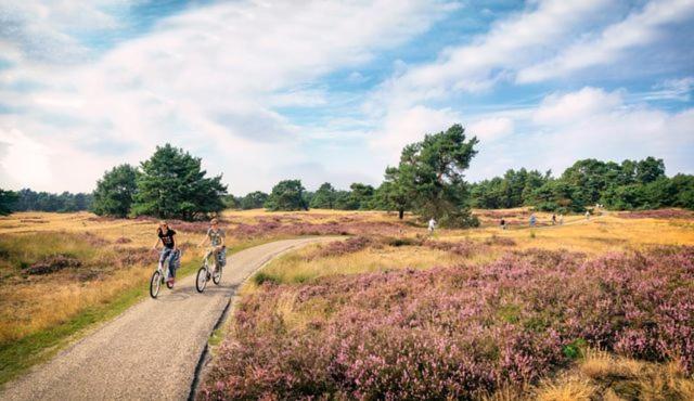 Sfeervol Chalet Op De Veluwe พุทเทิน ภายนอก รูปภาพ
