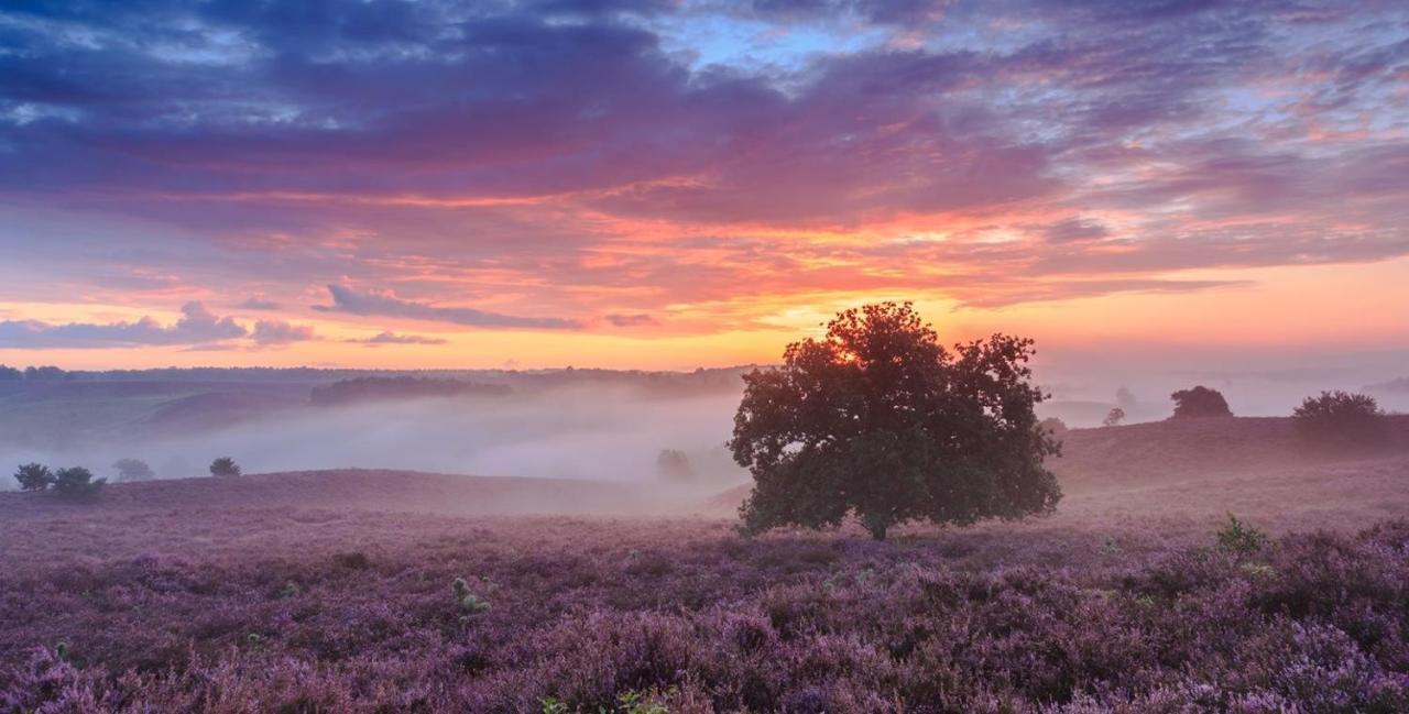 Sfeervol Chalet Op De Veluwe พุทเทิน ภายนอก รูปภาพ